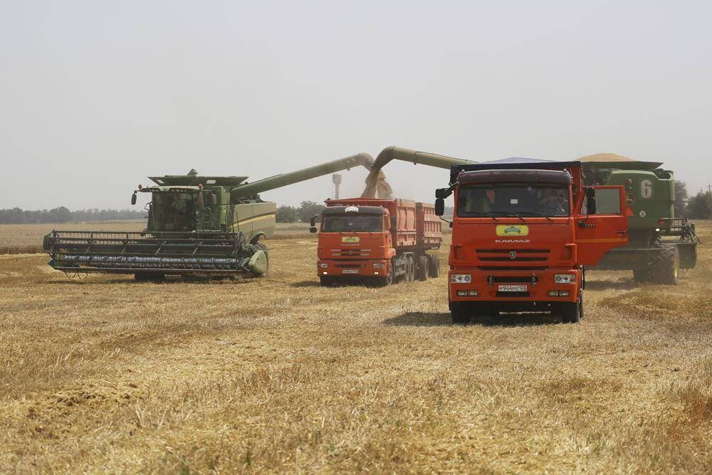 Invasión de Ucrania afecta el suministro mundial de cereales