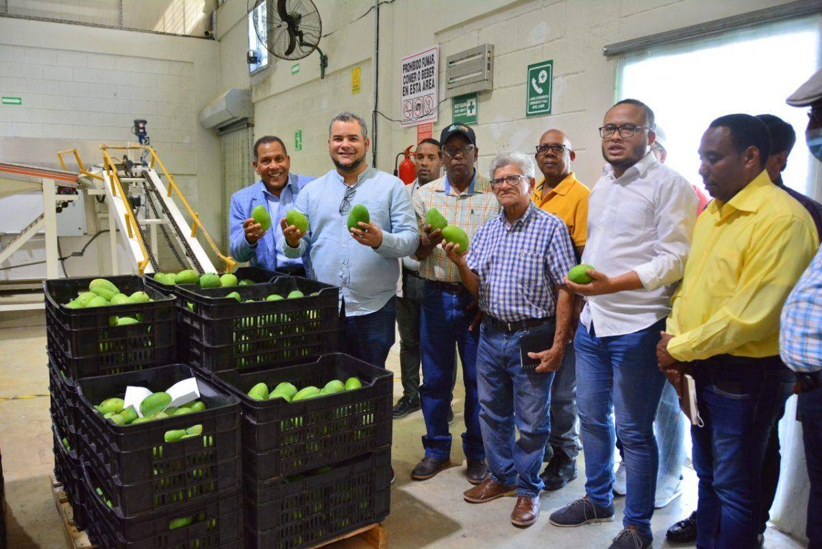 Fondo Especial para Desarrollo Agropecuario apoyará productores mango