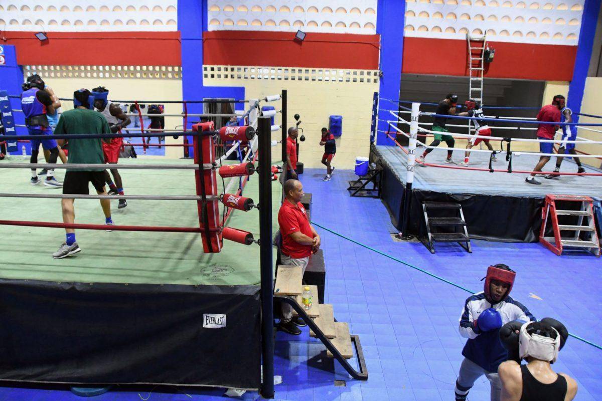 Boxeo RD trabaja fuerte con miras a Juegos Bolivarianos