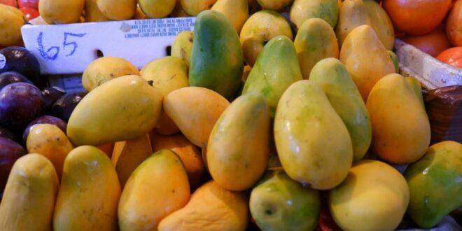 FEDA: Darán apoyo a los productores de mango