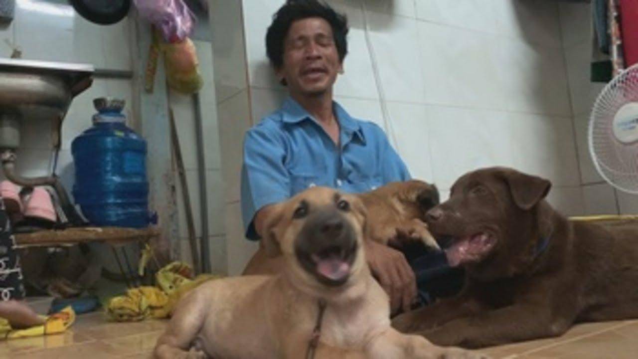 El trauma de la pareja que sacrificó a sus trece perros por covid