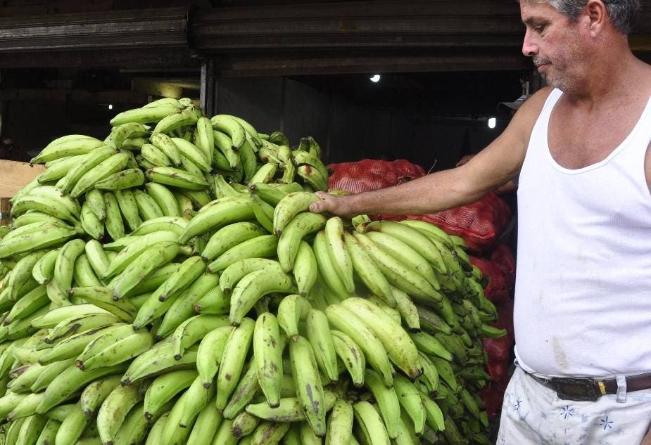 Exportaciones de banano están en situación difícil