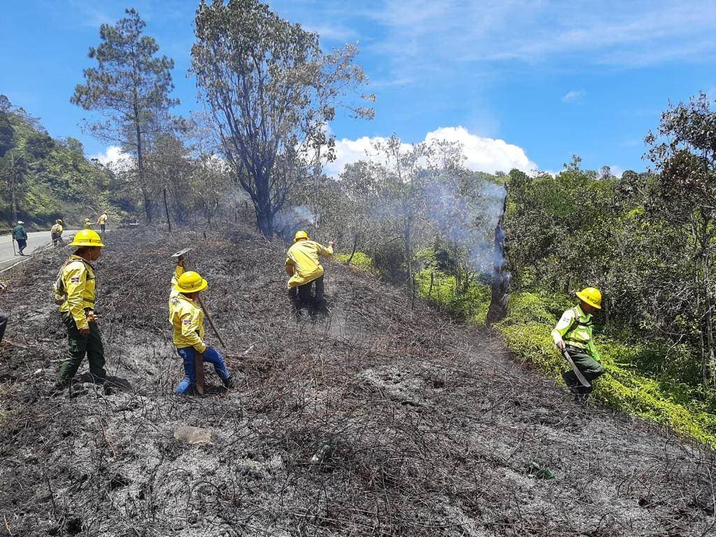 Mimarena dice termina sofocar fuego Valle Nuevo; responsable será sometido