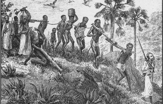 La trata negrera en Santo Domingo siglos XVI-XIX