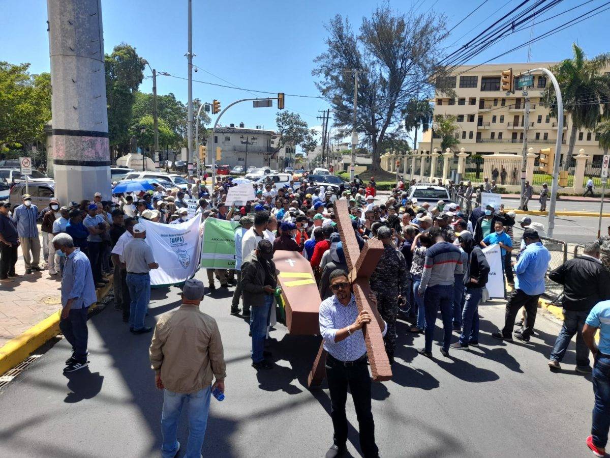 Videos: Agropecuarios marchan a Palacio para exigir a Abinader les cumpla