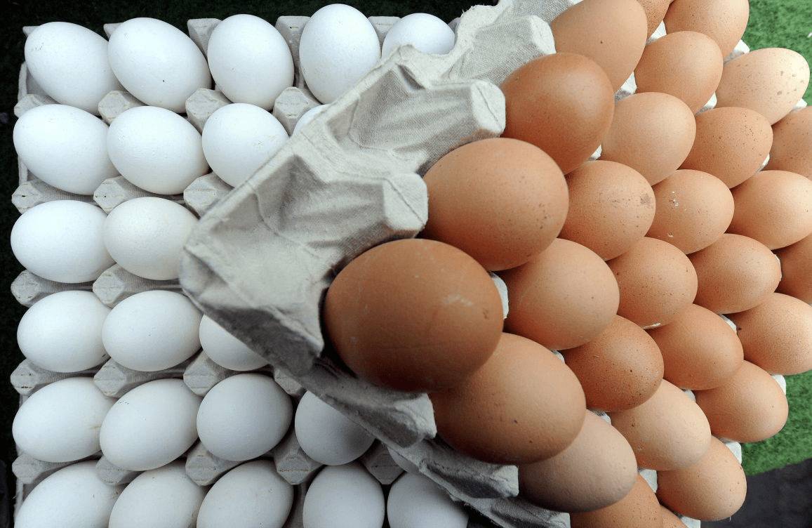 ¿Lo sabes todo sobre los huevos?