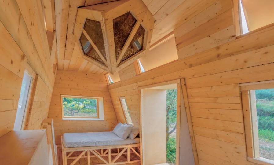 Renta habitación vía Airbnb con una colmena con más de un millón de abejas