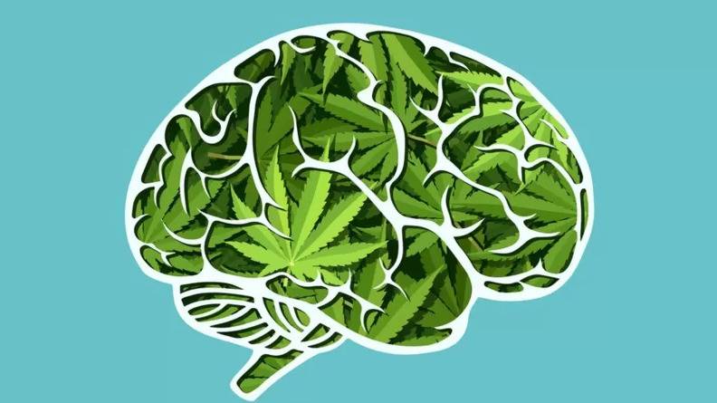 Cómo el consumo de marihuana afecta nuestra mente, según estudios