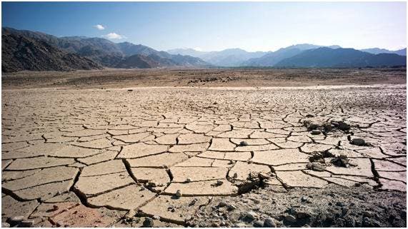 La humanidad está en una “encrucijada” por la sequía y urgen soluciones
