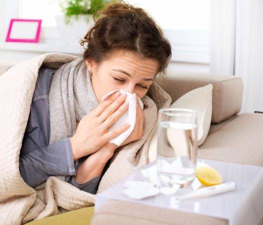 influenza gripe limpieza de hogar virus