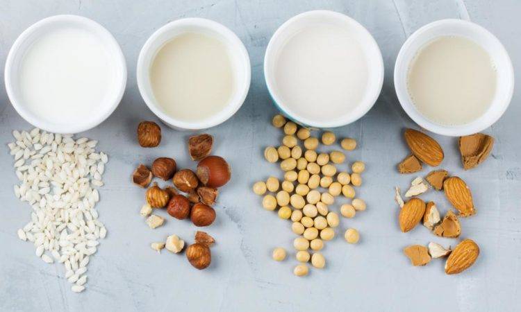 seis tipos de leche derivadas de semillas y cereales