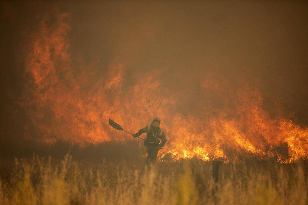 Incendios forestales y ola de calor agobian a Europa
