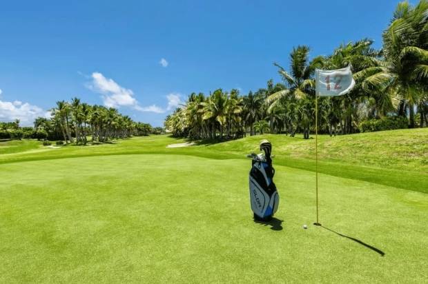 La República Dominicana goza de una creciente fama de ser uno de los mejores destinos para jugar golf en toda Latinoamérica y el Caribe.