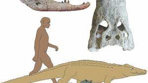 Registran dos nuevas especies de cocodrilos que comieron ancestros humanos