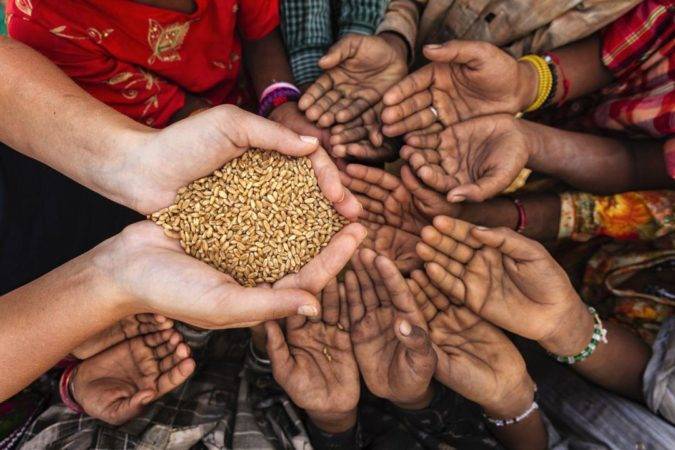 la fao pandemia hambre