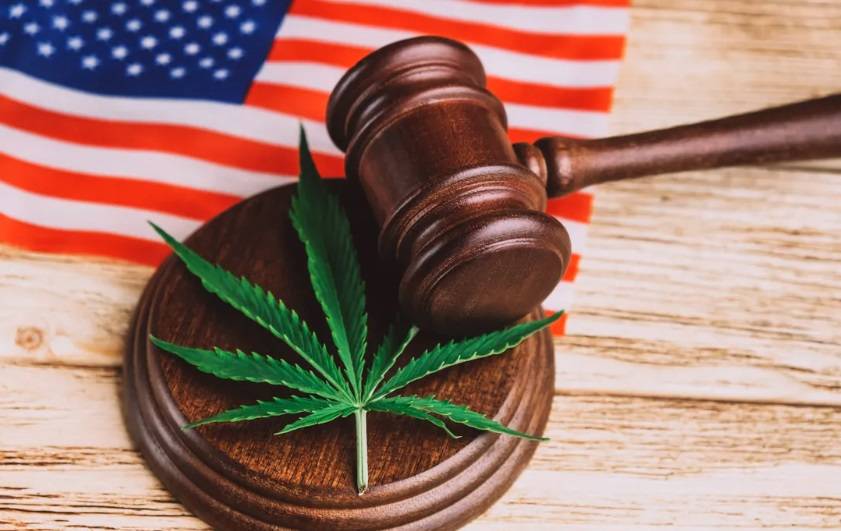 Senado de EE.UU. estudiará una ley para legalizar la marihuana      