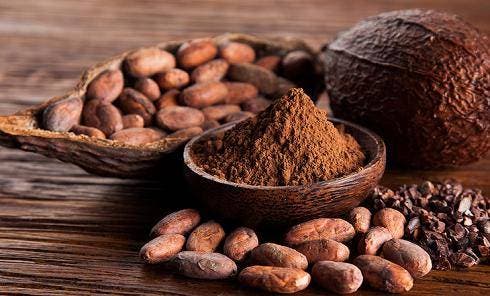 Día Mundial del Cacao: Los beneficios de este antioxidante