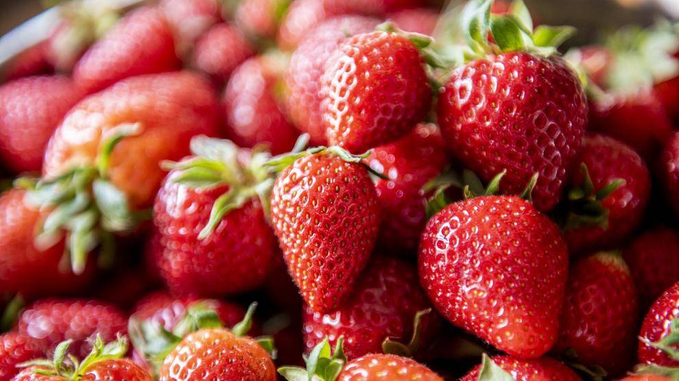 FEDA apuesta a producción de fresas para exportar