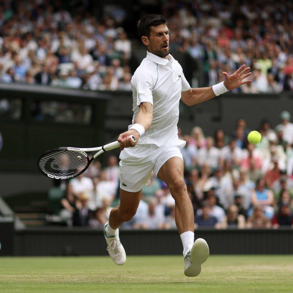 Djokovic logra una remontada histórica y avanza a semifinales de Wimbledon
