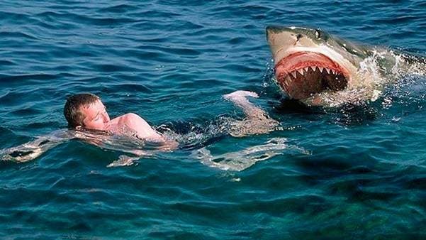 Tiburones siguen atacando bañistas en playas de NY