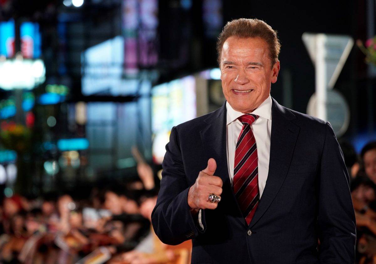 Arnold Schwarzenegger, todas las facetas del famoso actor