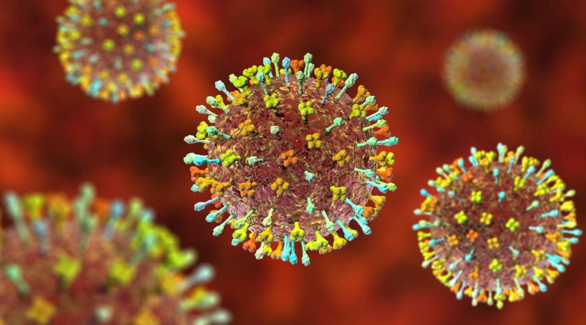 Nuevo virus de origen animal es detectado en 35 personas en China
