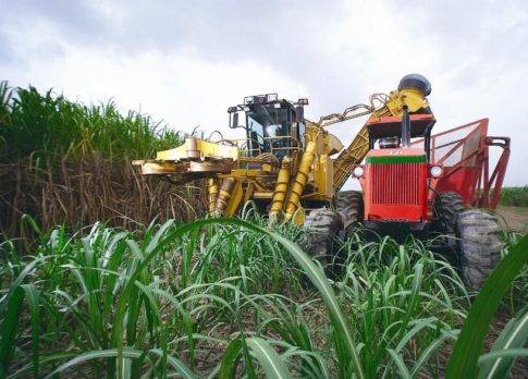 Industria azucarera agradece EEUU resalte mejoras sector