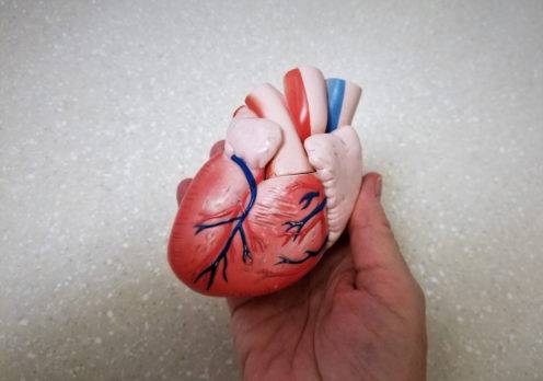 Día Mundial del Corazón: 10 maneras de cuidarlo