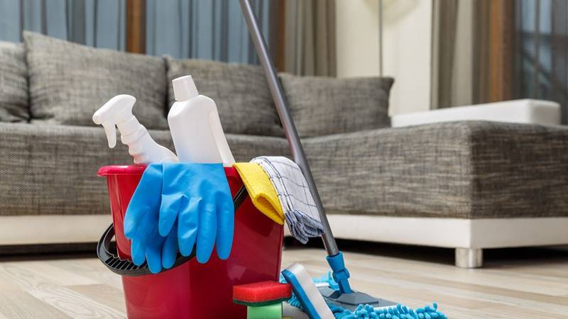 Trabajadoras domésticas | salario mínimo y horas trabajadas: conozca qué dice un experto