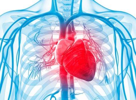 Enfermedades cardiovasculares:  recomendaciones que podrían evitar  80 % de muertes prematuras