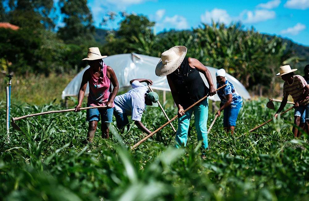 Cambio climático y poco financiamiento amenazan la agricultura familiar