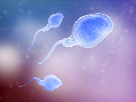 Aplican la Inteligencia Artificial para seleccionar esperma en reproducción