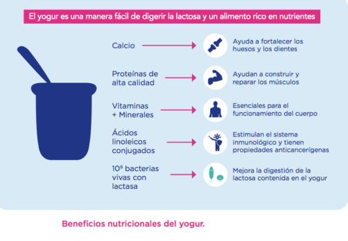 yogur beneficios nutricionales