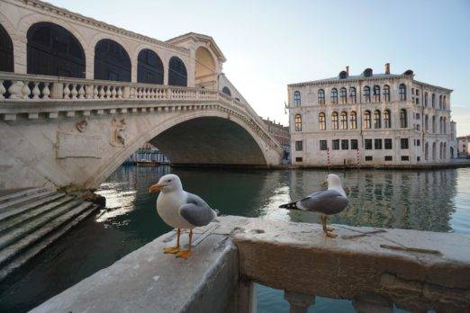 Venecia acoge el “Blue Friday”, la alternativa de la Unesco al “Black Friday»