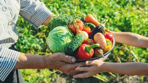 Agricultura familiar aporta 82% alimentos consumidos RD