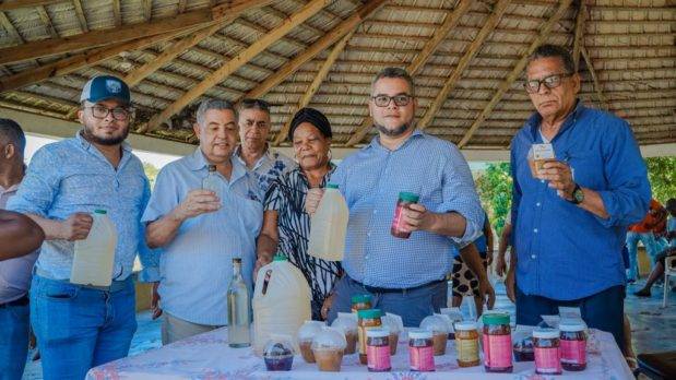 Gobierno comenzará en Samaná la renovación de las plantaciones de coco