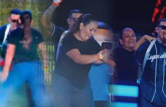 Daddy Yankee: Señora burla la seguridad y sube al escenario en pleno concierto