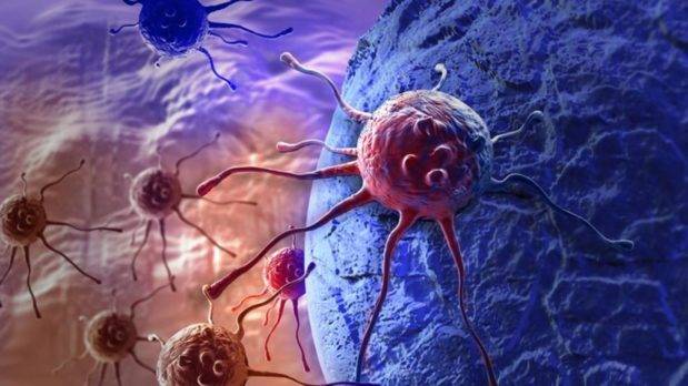FMRP, proteína que impide que inmunoterapia contra el cáncer funcione 
