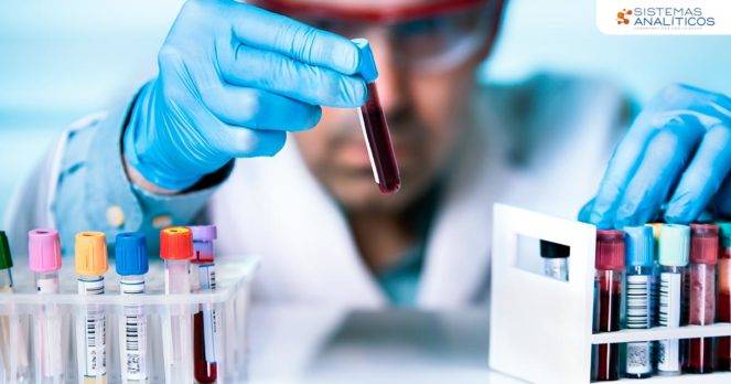 Sangre creada en laboratorio se transfunde por primera vez a las personas