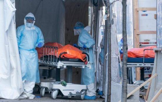 Pandemia En Ny Fallecidos Y Contagiados Hasta El 2022