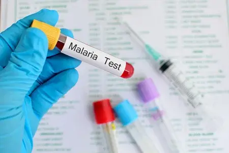 La malaria causó 619.000 muertes en 2021