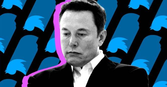Expertos: Con Elon Musk en Twitter se disparan los discursos de odio