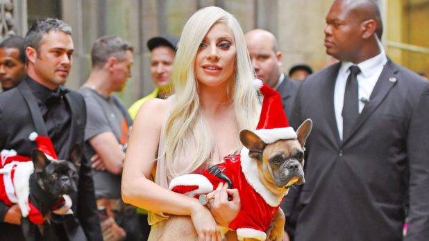Hombre que disparó al paseador de perros de Lady Gaga es condenado a 21 años de prisión