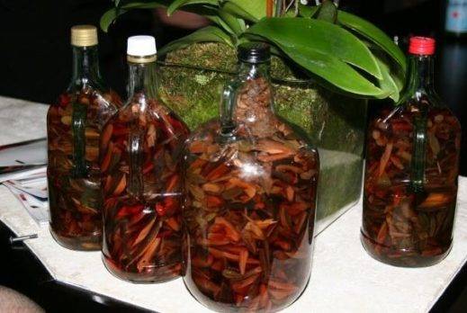 mamajuana photo 600x402 1