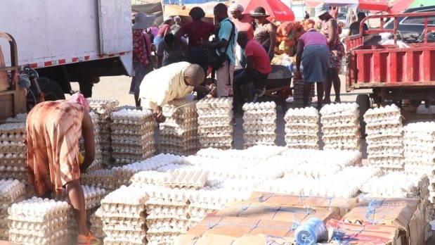 Comerciantes aceleraron la venta de huevos en la frontera