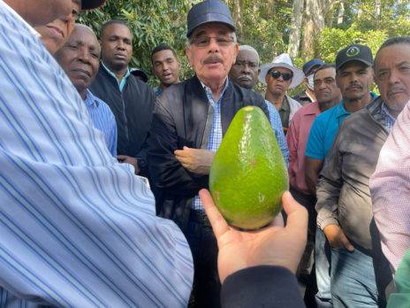 Danilo Medina se reúne en Azua con productores de aguacate