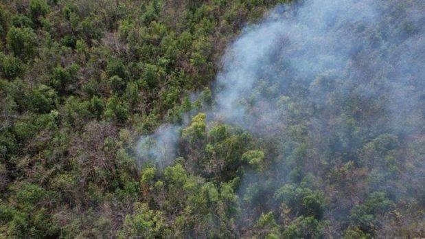 Medio Ambiente dice controla fuego en Barahona