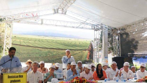 Productores de arroz piden intervención del Gobierno