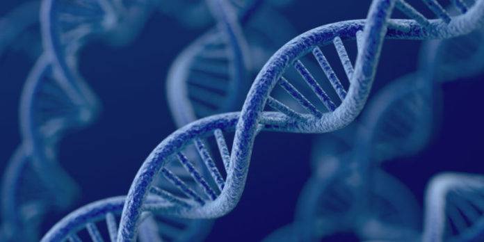 ¿Los genes no lo son todo en la herencia?