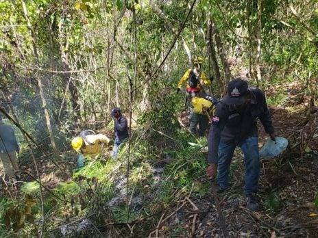 Medio Ambiente: siete detenidos por incendios de Punta Cana